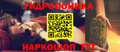 винт Канаш