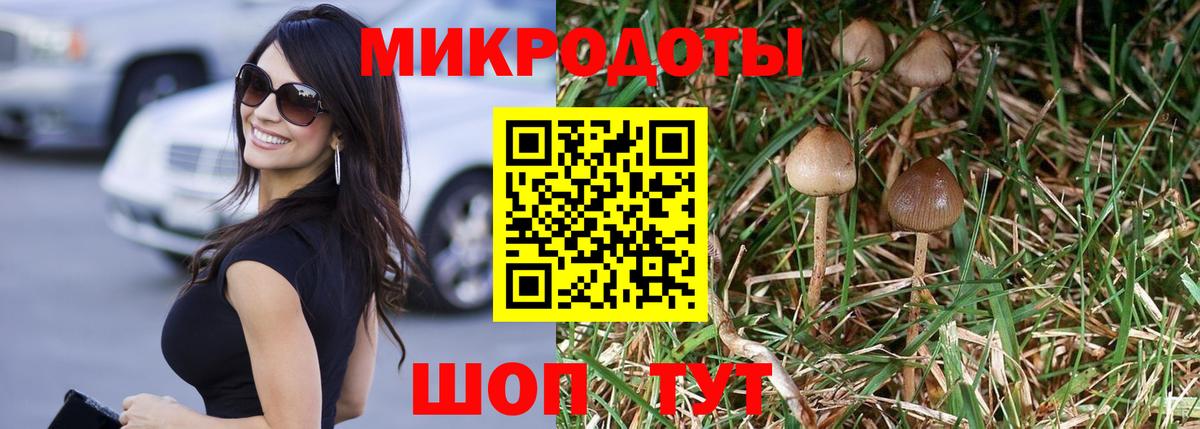 Южноуральск  Псилоцибиновые грибы MAGIC MUSHROOMS  Псилоцибиновые грибы Cubensis  Вход с VPN 